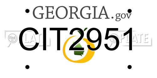CIT2951 Georgia License Plate