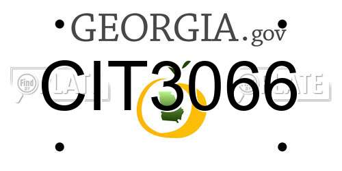 CIT3066 Georgia License Plate
