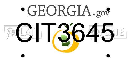 CIT3645 Georgia License Plate