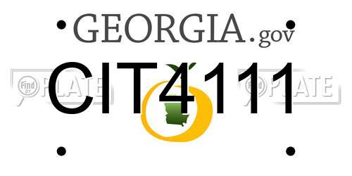 CIT4111 Georgia License Plate