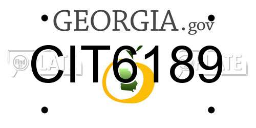 CIT6189 Georgia License Plate