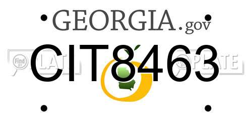 CIT8463 Georgia License Plate