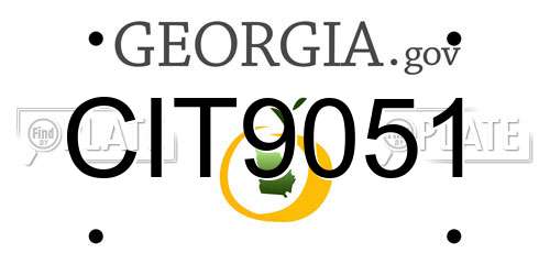 CIT9051 Georgia License Plate