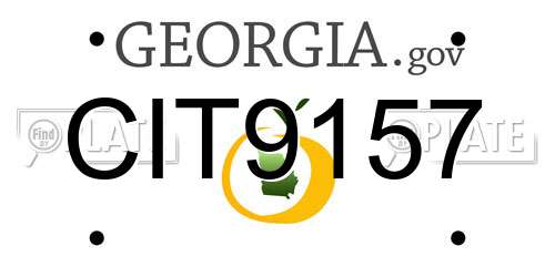 CIT9157 Georgia License Plate