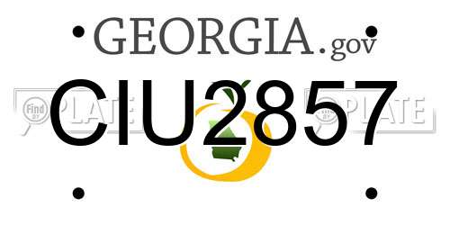 CIU2857 Georgia License Plate