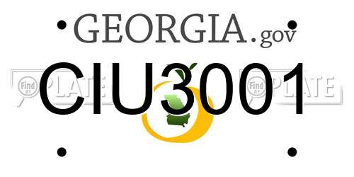 CIU3001 Georgia License Plate