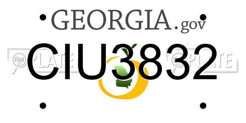 CIU3832 Georgia License Plate