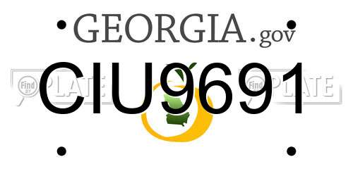 CIU9691 Georgia License Plate