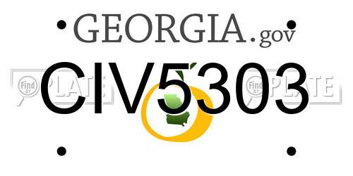 CIV5303 Georgia License Plate