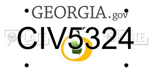 CIV5324 Georgia License Plate