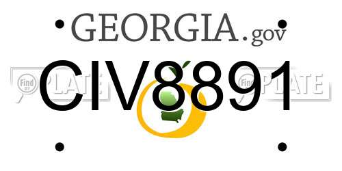 CIV8891 Georgia License Plate