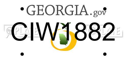 CIW1882 Georgia License Plate