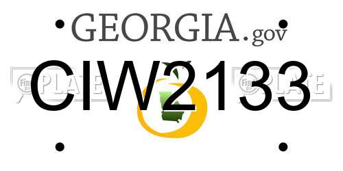 CIW2133 Georgia License Plate