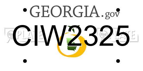 CIW2325 Georgia License Plate