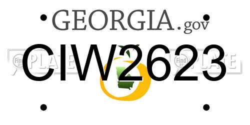 CIW2623 Georgia License Plate