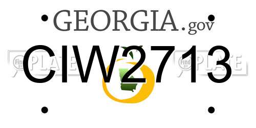 CIW2713 Georgia License Plate