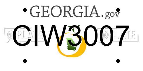 CIW3007 Georgia License Plate