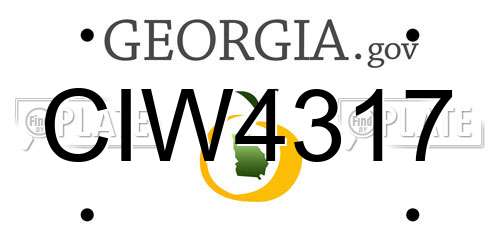 CIW4317 Georgia License Plate
