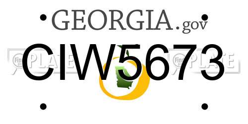 CIW5673 Georgia License Plate