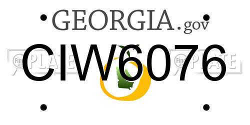 CIW6076 Georgia License Plate