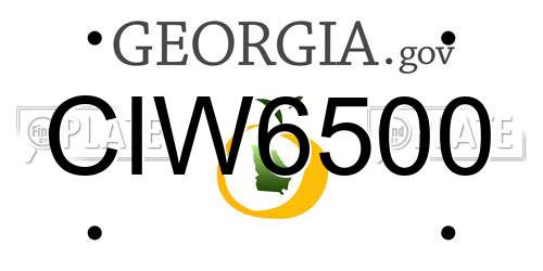 CIW6500 Georgia License Plate