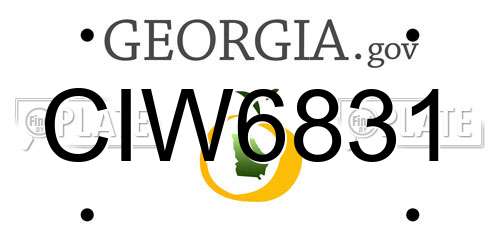CIW6831 Georgia License Plate