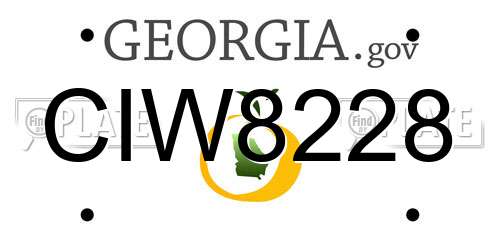 CIW8228 Georgia License Plate
