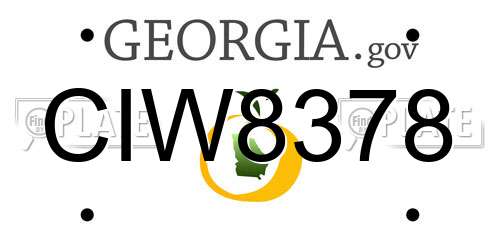CIW8378 Georgia License Plate