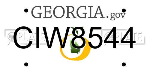 CIW8544 Georgia License Plate