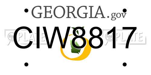 CIW8817 Georgia License Plate