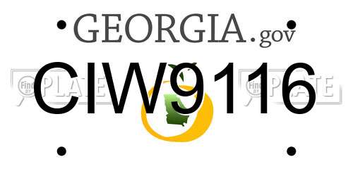 CIW9116 Georgia License Plate