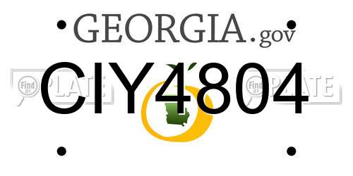 CIY4804 Georgia License Plate