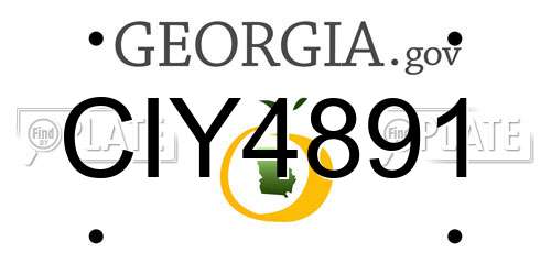 CIY4891 Georgia License Plate