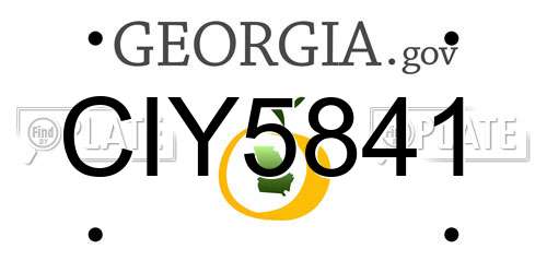 CIY5841 Georgia License Plate