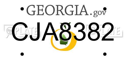 CJA8382 Georgia License Plate