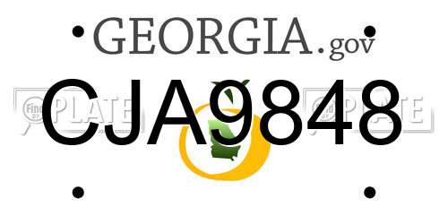 CJA9848 Georgia License Plate