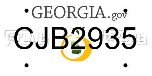 CJB2935 Georgia License Plate