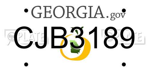 CJB3189 Georgia License Plate