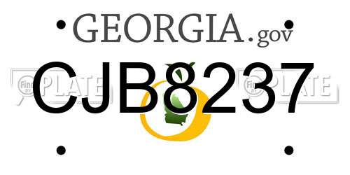 CJB8237 Georgia License Plate