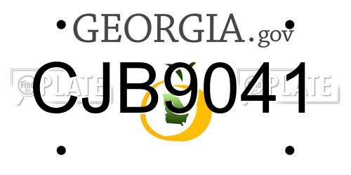 CJB9041 Georgia License Plate