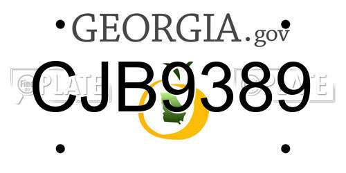 CJB9389 Georgia License Plate