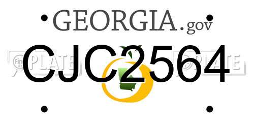 CJC2564 Georgia License Plate
