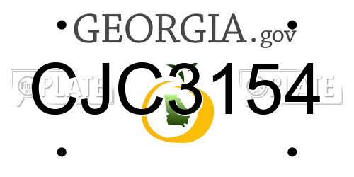 CJC3154 Georgia License Plate