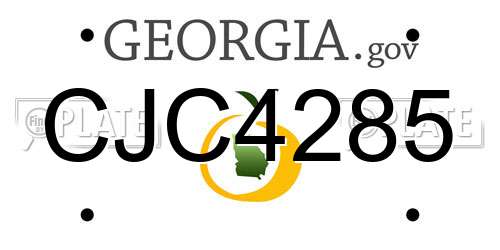 CJC4285 Georgia License Plate
