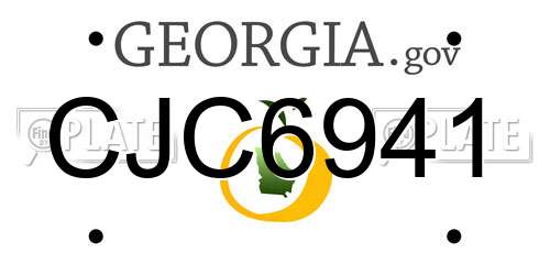 CJC6941 Georgia License Plate