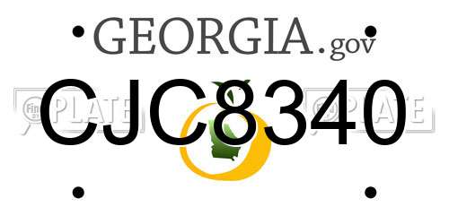 CJC8340 Georgia License Plate