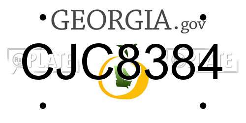 CJC8384 Georgia License Plate
