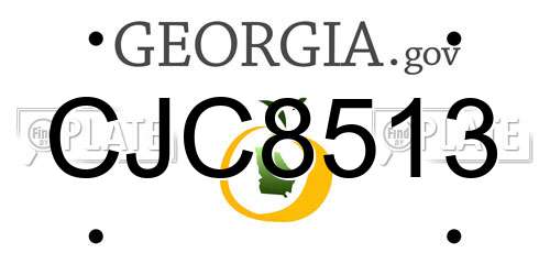 CJC8513 Georgia License Plate