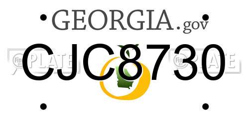 CJC8730 Georgia License Plate