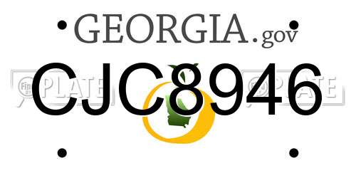 CJC8946 Georgia License Plate